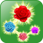 Rose Paradise