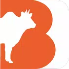 Bigdelivery
