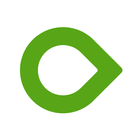 Dexcom ONE